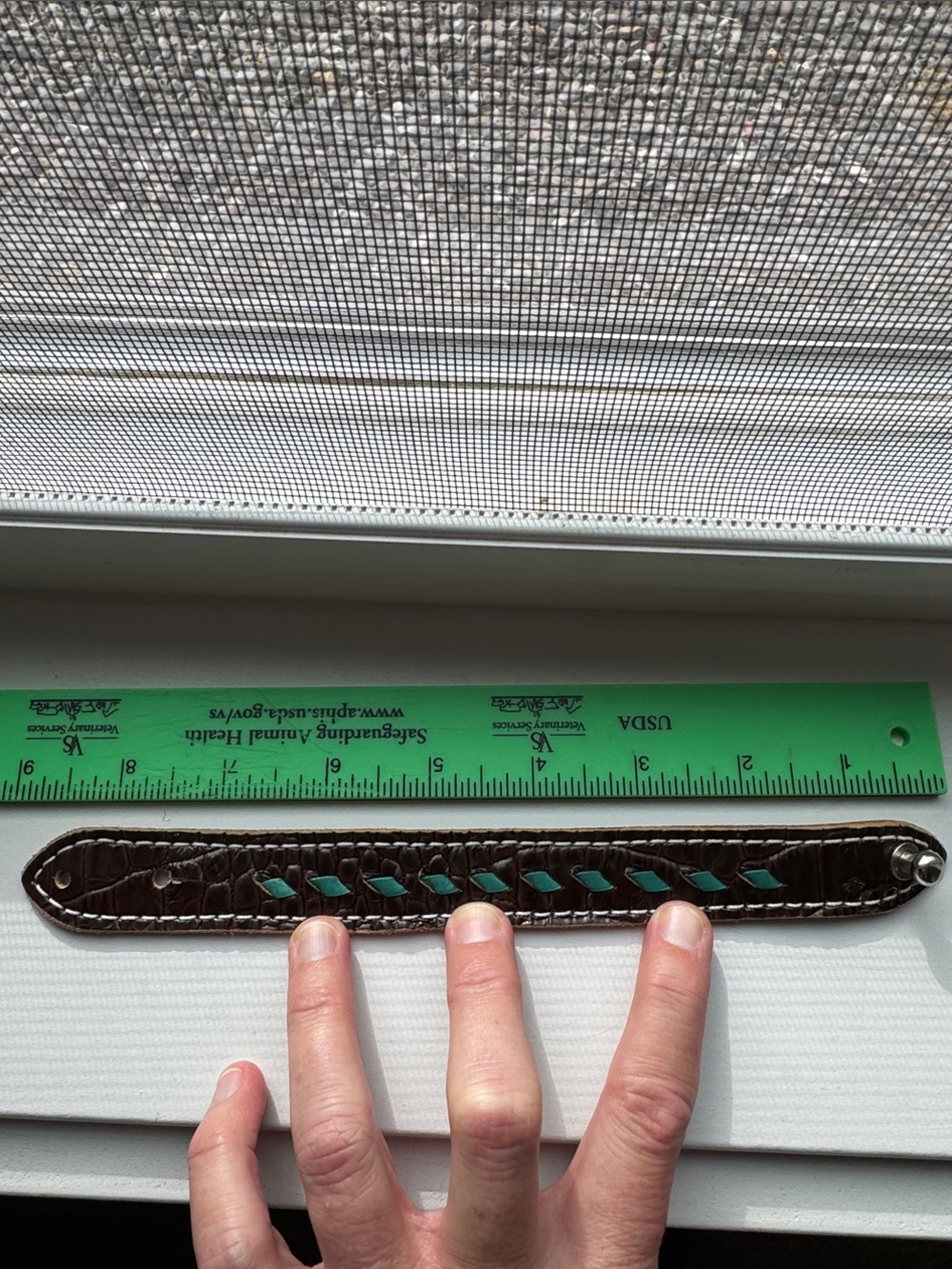 Crocodile Leather with Turquoise Accent Bracelet